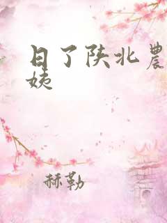 日了陕北农村婆姨