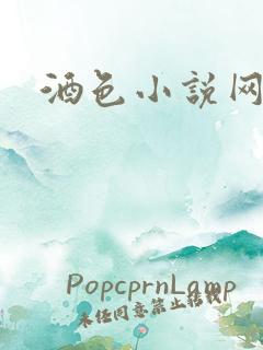 酒色小说网