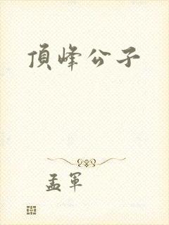 顶峰公子