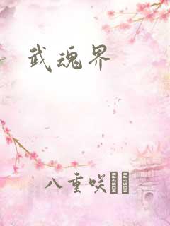 武魂界