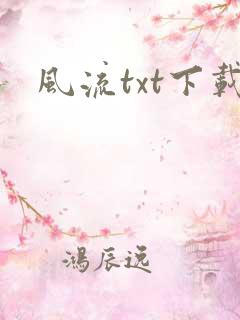 风流txt下载