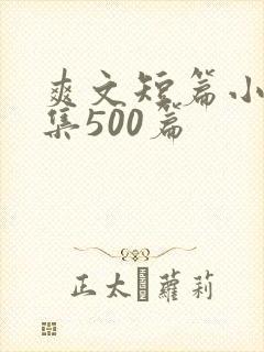 爽文短篇小说合集500篇
