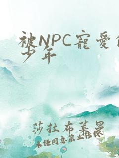 被NPC宠爱的少年