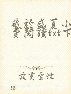 藏于盛夏小说免费阅读txt下载