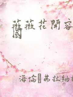 薇薇花开容颜倾国