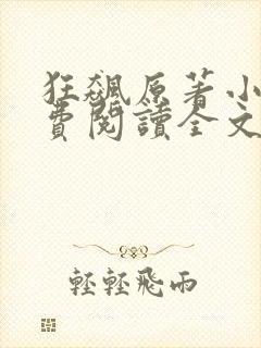 狂飙原著小说免费阅读全文无删减