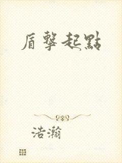 盾击起点