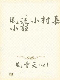 风流小村长有声小说