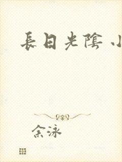长日光阴 小说