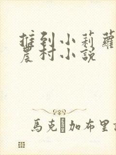 推到小莉萝稚嫩农村小说