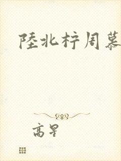 陆北柠周慕深