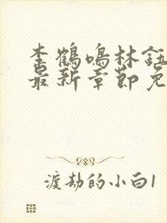 李鹤鸣林钰小说最新章节免费阅读