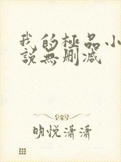 我的极品小姨小说无删减