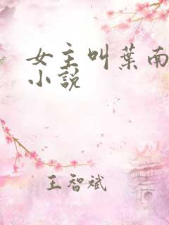 女主叫叶南初的小说