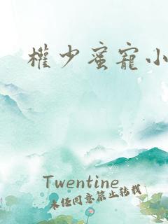 权少蜜宠小娇妻