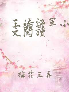 王娇梁军小说全文阅读