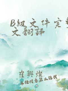 B级文件完整中文翻译