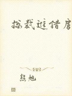 总裁进错房