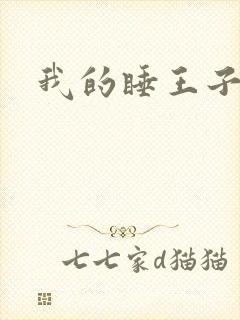 我的睡王子殿下