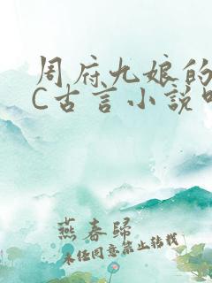 周府九娘的NPC古言小说叫什么