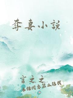 夺妻小说