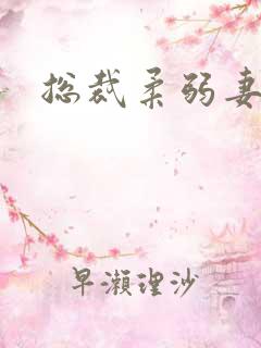 总裁柔弱妻