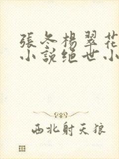 张冬杨翠花主题小说绝世小仙医绝
