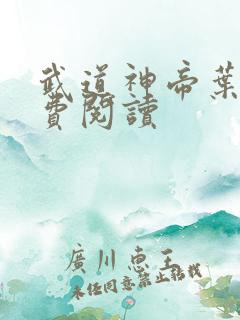 武道神帝叶辰免费阅读