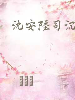 沈安陆司沉小说