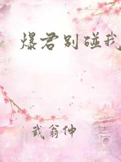 爆君别碰我