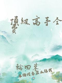 顶级高手全文免费