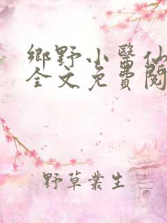 乡野小医仙小说全文免费阅读