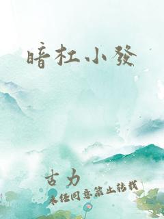 暗杠小发