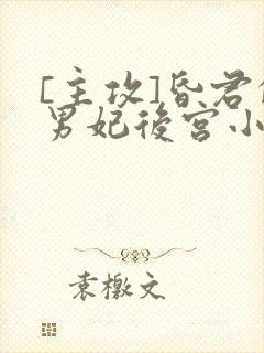 [主攻]昏君的男妃后宫小说