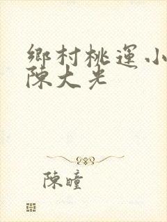 乡村桃运小神医陈大光
