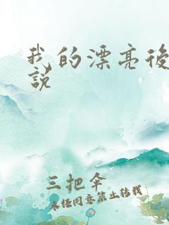我的漂亮后妈小说