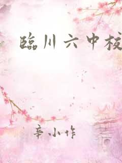 临川六中校长