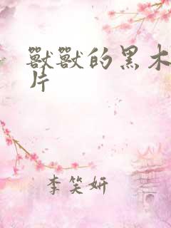 兽兽的黑木耳照片
