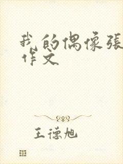 我的偶像张桂梅作文