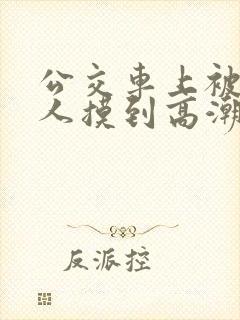 公交车上被陌生人摸到高潮视频