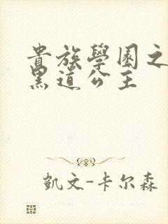贵族学园之我的黑道公主