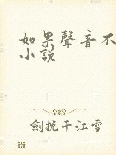 如果声音不记得小说