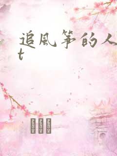 追风筝的人txt