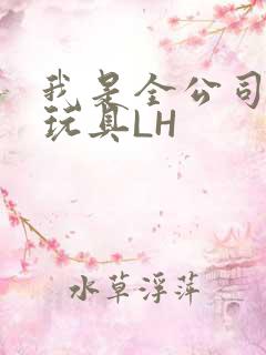 我是全公司发泄玩具LH
