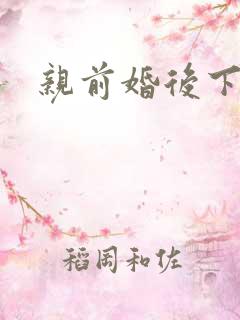 亲前婚后下载