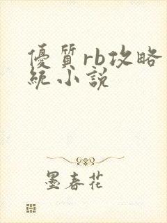 优质rb攻略系统小说