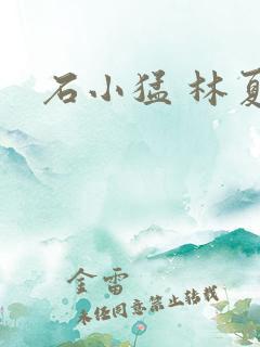 石小猛 林夏