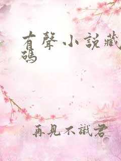 有声小说藏地密码