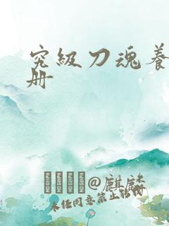 究级刀魂养成手册