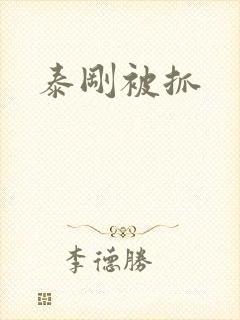 泰刚被抓